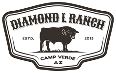 Diamond L Ranch Logo